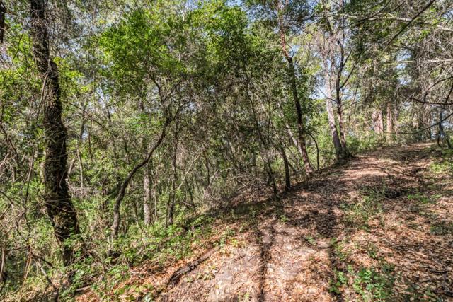 0 Madrone Avenue, Felton CA: https://media.crmls.org/mediaz/a9093397-ca36-4aa6-b3e1-315a7359d10a.jpg