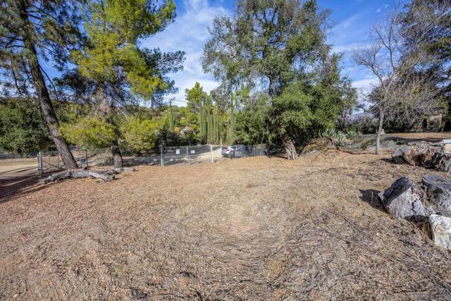 Image 23 of 54 For 20855 Cinnamon Dr