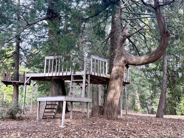 Detail Gallery Image 25 of 47 For 3413 Fern Meadow Rd, Palomar Mountain,  CA 92060 - 3 Beds | 3/1 Baths