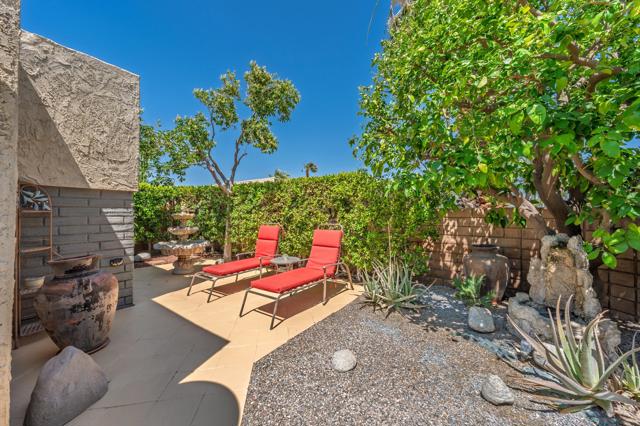 3162 Sunflower N Loop, Palm Springs CA: https://media.crmls.org/mediaz/a911f6da-c2d8-4bd9-a852-8a3d8dcc1ee1.jpg