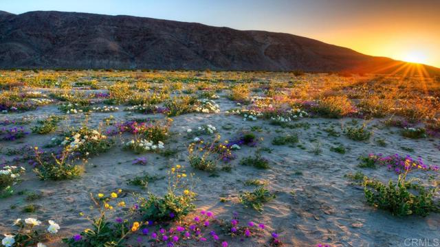 Detail Gallery Image 5 of 5 For Palm Canyon Dr Lots 283 & 284, Borrego Springs,  CA 92004 - – Beds | – Baths