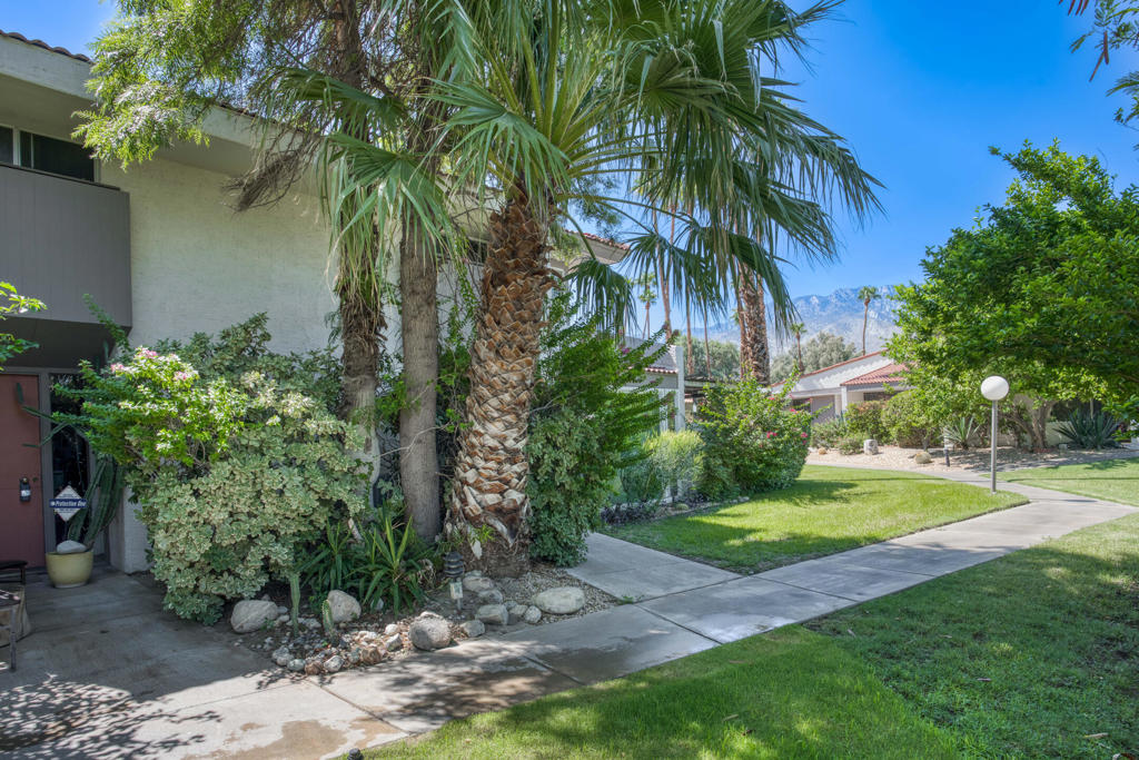 MLS #219135368DA image #24