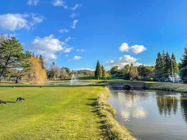 13 Kemp Ct, Alamo CA: https://media.crmls.org/mediaz/a9195e15-1d1b-42b1-873f-b90f53bf874a.jpg