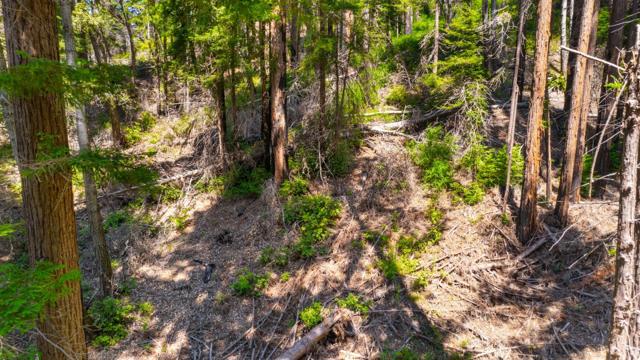 3 Bloom Grade, Boulder Creek CA: https://media.crmls.org/mediaz/a91f7a51-22d3-4a6d-9a5e-531715803296.jpg