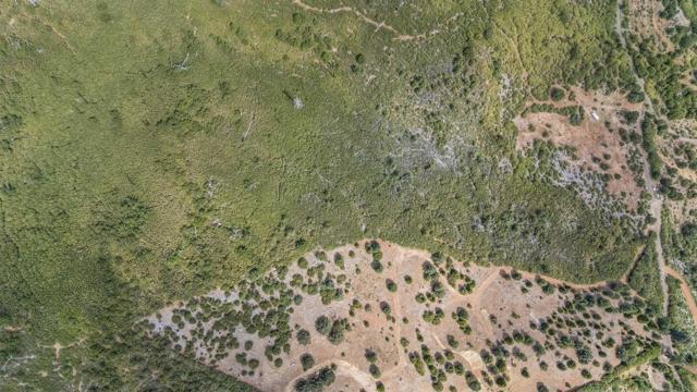 Detail Gallery Image 11 of 12 For 0 Iron Springs Rd, Julian,  CA 92036 - – Beds | – Baths