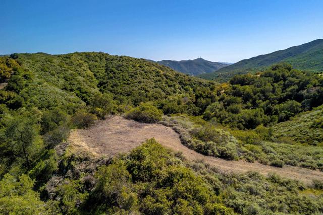 Front Image Thumbnail for CRPTP2602158