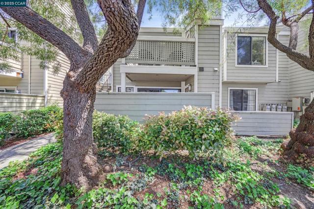 160 Eastridge Dr, San Ramon CA: https://media.crmls.org/mediaz/a93b10c5-eaa2-4fb0-80f1-1ce25f4cc067.jpg
