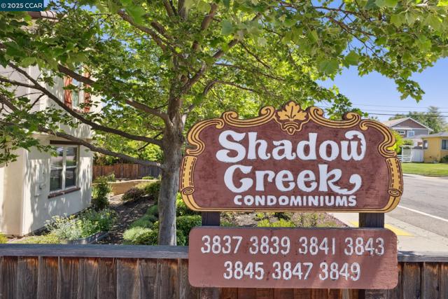 3847 Vineyard Ave, Pleasanton CA: https://media.crmls.org/mediaz/a95387d2-97c6-4612-9f35-2370728b7bae.jpg