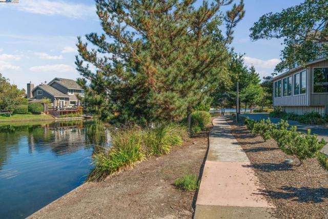 101 Carob Ln, Alameda CA: https://media.crmls.org/mediaz/a95cbab3-f459-4616-923d-21e6f3cb1539.jpg