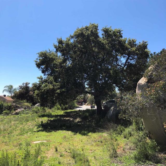 0 High Mountain Ln, Escondido CA: https://media.crmls.org/mediaz/a970f473-0b2f-4b4f-be41-be6c3103faf7.jpg