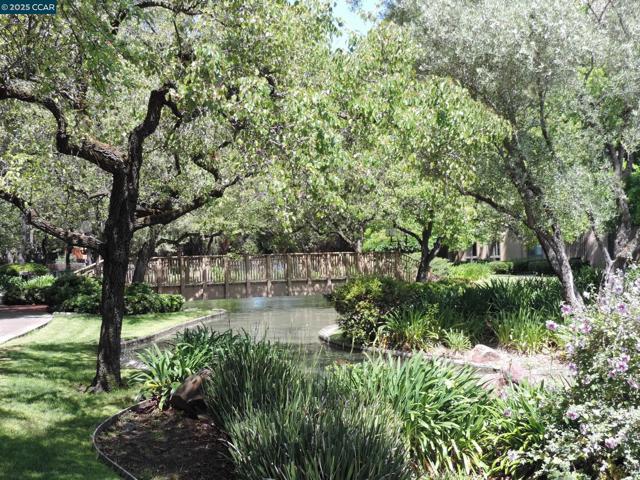 470 N Civic Dr., Walnut Creek CA: https://media.crmls.org/mediaz/a97146e1-d856-44b8-8eb1-a826458f3c15.jpg