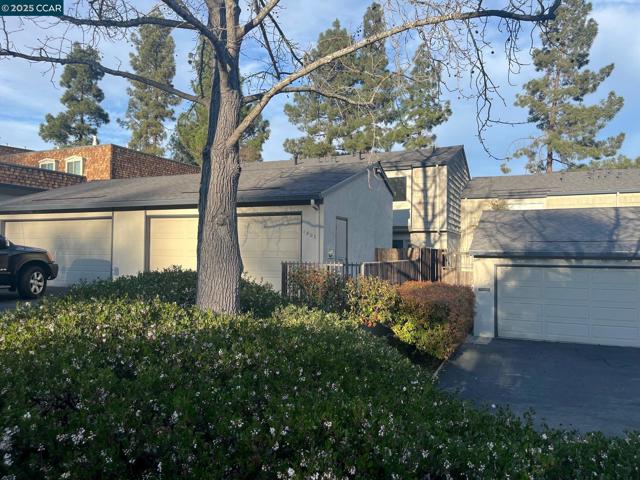1800 Cannon Dr, Walnut Creek CA: https://media.crmls.org/mediaz/a97646a3-f113-44d4-8d2c-494c7229f9dc.jpg
