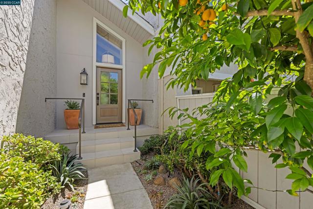 1513 Siskiyou Dr, Walnut Creek CA: https://media.crmls.org/mediaz/a97e2b30-7e00-40a4-9ef7-d8e39df815f1.jpg