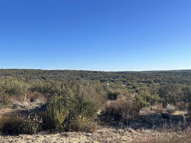 Front Image Thumbnail for CRPTP2601471