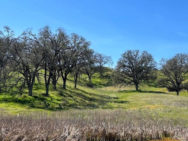 355 Pine Ridge Road, Lakeport CA: https://media.crmls.org/mediaz/a987a6c8-c983-4bfe-bebb-5c0aaab86716.jpg