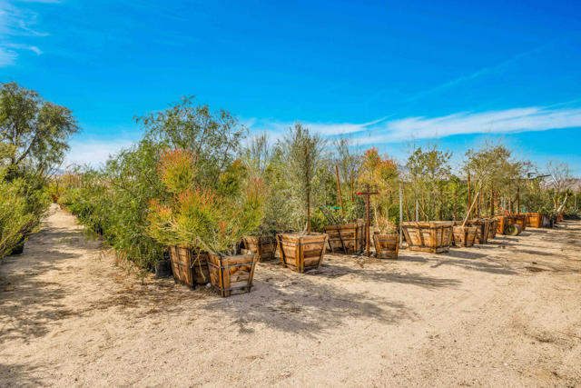 16961 Evans Lane Lane, Desert Hot Springs CA: https://media.crmls.org/mediaz/a98c55e6-bc71-4521-8e71-6081adb43203.jpg