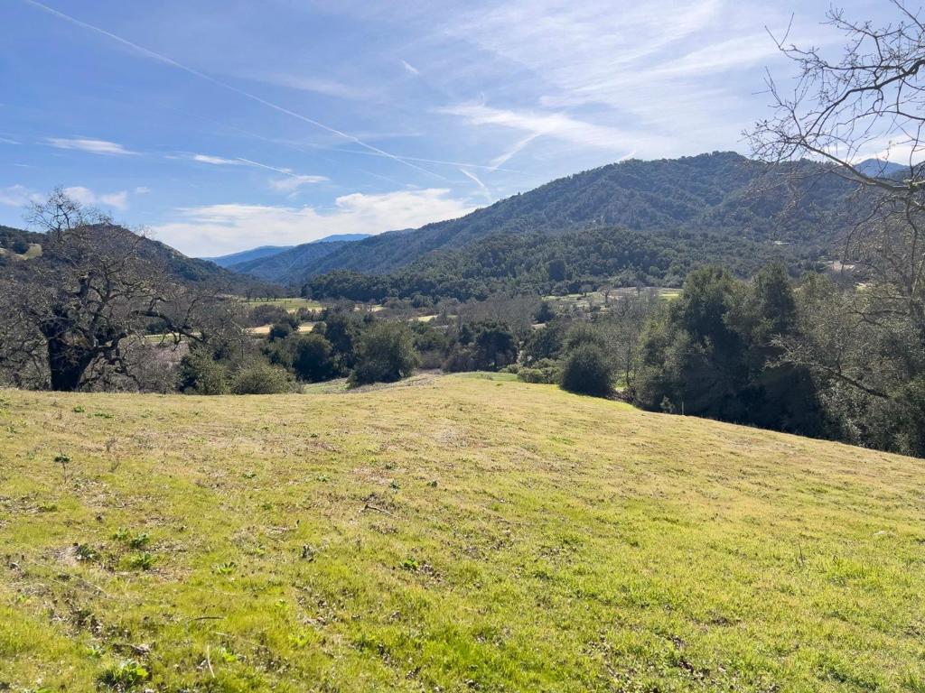 MLS #ML81995760 image #10