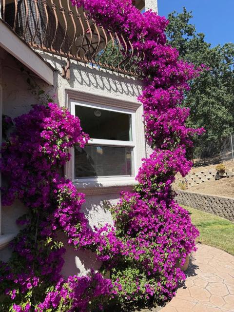 6449 Curie Court, San Jose CA: https://media.crmls.org/mediaz/a9a300d6-c2ba-4a2b-938f-d72ecfbe93e3.jpg