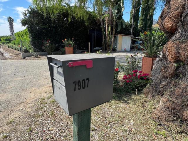 Detail Gallery Image 24 of 39 For 7907 Balcom Canyon Rd, Somis,  CA 93066 - – Beds | – Baths