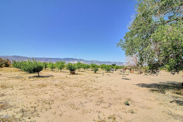 10424 Santa Fe Fire Road, Lucerne Valley CA: https://media.crmls.org/mediaz/a9b96e64-ca2d-489f-84b9-7add485ce48c.jpg