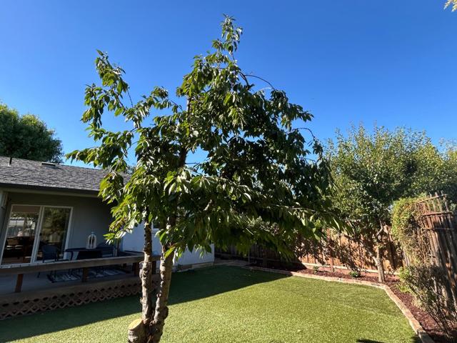 120 El Toro Court, Morgan Hill CA: https://media.crmls.org/mediaz/a9ba198c-ed60-4cf6-802e-881d7a893278.jpg
