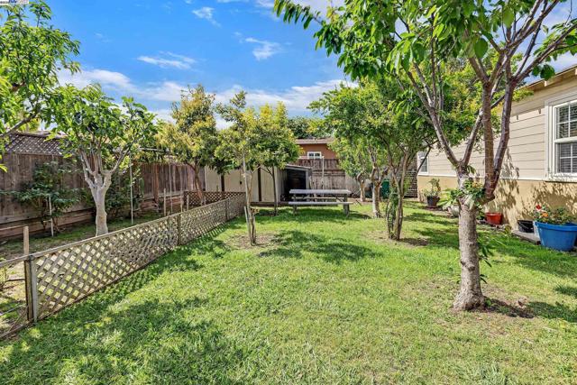 15028 Grenda St, San Leandro CA: https://media.crmls.org/mediaz/a9c9f568-6149-415a-94b8-4e22bc6d506e.jpg
