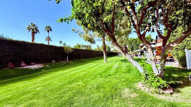 Image 4 of 14 For 69411 Ramon Rd #640