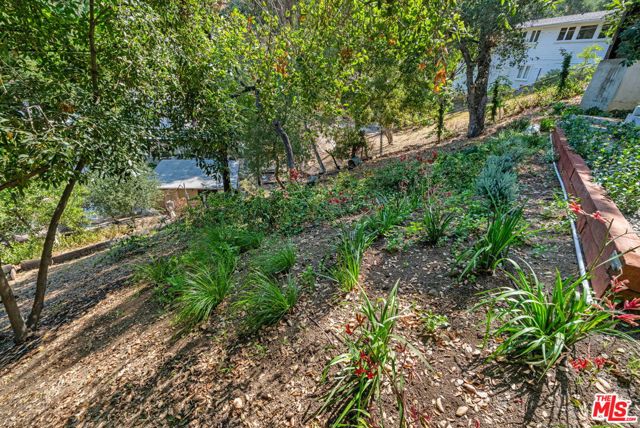3200 Oakley Drive, Los Angeles CA: https://media.crmls.org/mediaz/a9cf9c49-e594-4e66-acde-0419491b711c.jpg