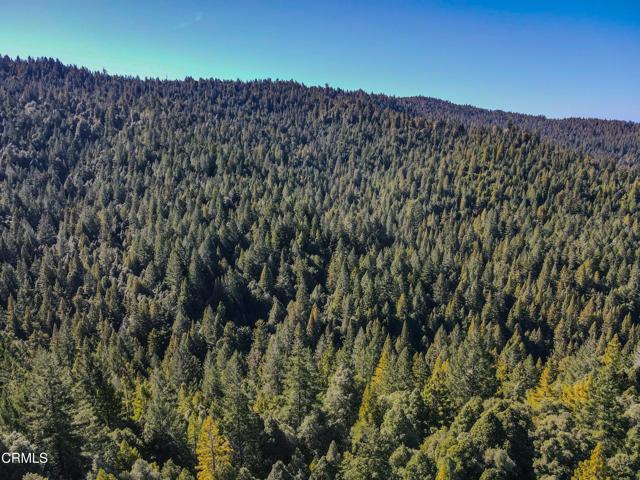 0 Irmulco Road, Willits CA: https://media.crmls.org/mediaz/a9d37ff0-a992-4ca3-abdc-388d0234af8b.jpg