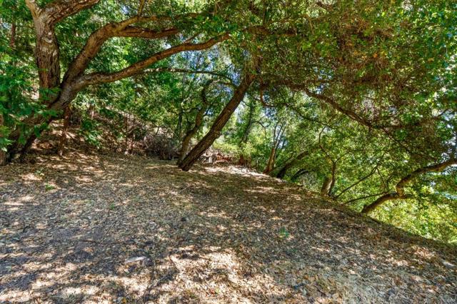 26025 Highland Way, Los Gatos CA: https://media.crmls.org/mediaz/a9dfc80d-08b5-4003-983f-82124151d562.jpg