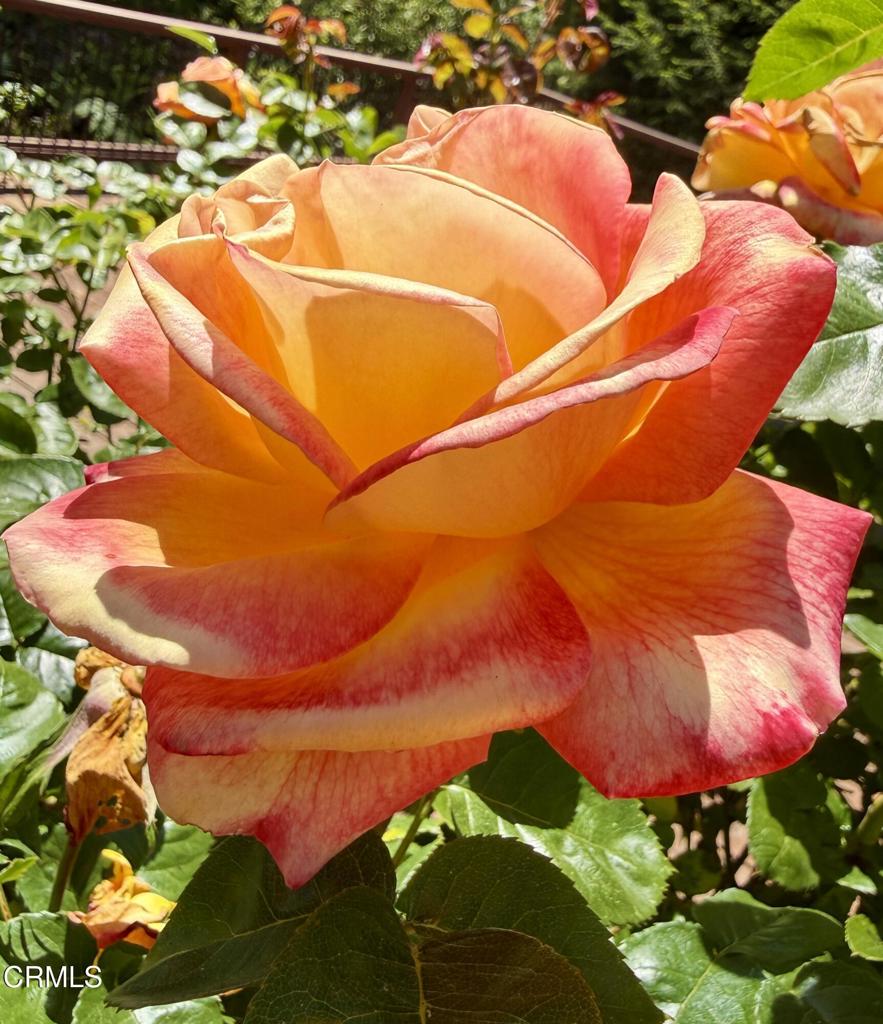 https://media.crmls.org/mediaz/a9e71931-e5d6-4048-8072-a5dd697b1b6a.jpg?preset=X-Large