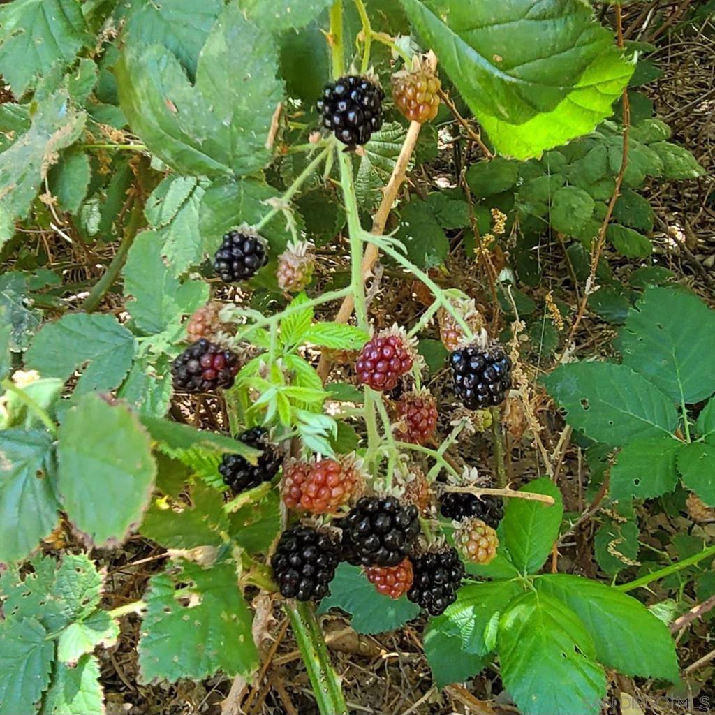 https://media.crmls.org/mediaz/a9faaf88-5d3f-4eab-8810-c51f73013b95.jpg?preset=X-Large