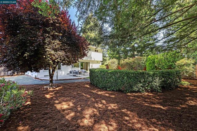 222 Scotts Mill Ct, Danville CA: https://media.crmls.org/mediaz/aa05dfe2-f5ab-4549-800f-3c085543abeb.jpg