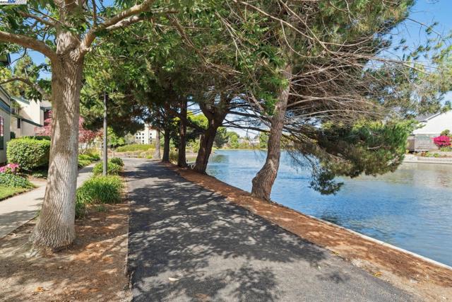 101 Carob Ln, Alameda CA: https://media.crmls.org/mediaz/aa0c2184-6109-4677-8c4f-7d66c8d76ff8.jpg