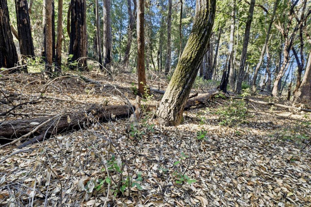 MLS #ML81986063 image #15