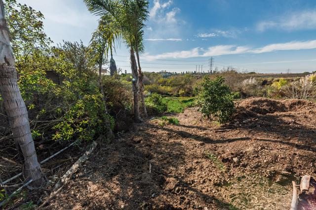 Image 9 of 10 For 6591 Black Rail Road