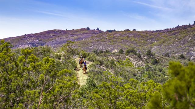Detail Gallery Image 20 of 39 For 36719 Equiestrian, Anza,  CA 92539 - 3 Beds | 2 Baths