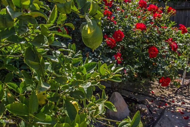 Detail Gallery Image 23 of 27 For 8984 Santa Margarita Rd, Ventura,  CA 93004 - 4 Beds | 3 Baths