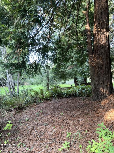 31750 Pudding Creek Road, Fort Bragg CA: https://media.crmls.org/mediaz/aa2e4ddc-dda4-40e6-8de3-1b67a4f65f05.jpg