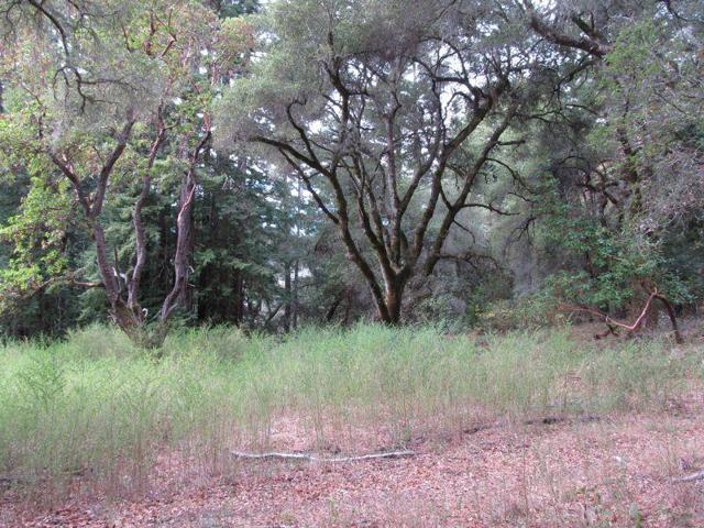 0 E Hilton, Boulder Creek CA: https://media.crmls.org/mediaz/aa313e2f-9c11-4baa-b4b9-4fc3545719bf.jpg