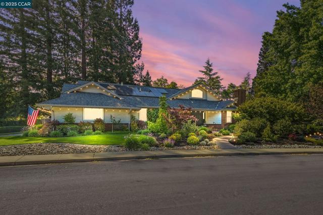 235 Saint Paul Dr, Alamo CA: https://media.crmls.org/mediaz/aa37ba37-5356-478d-ab3f-303718688cae.jpg