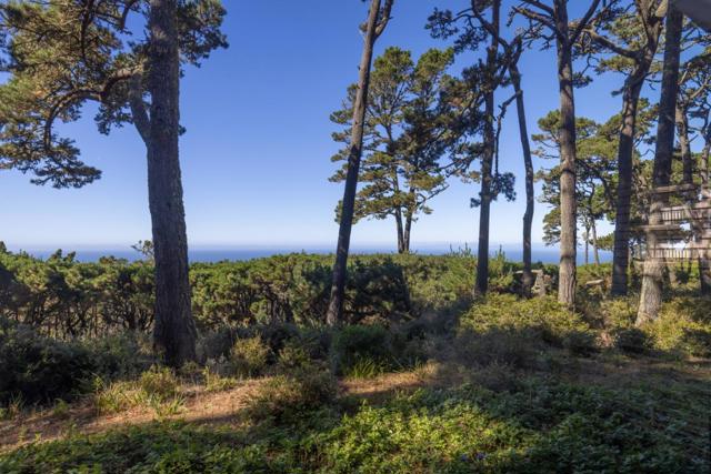 22 Ocean Pines Lane, Pebble Beach CA: https://media.crmls.org/mediaz/aa3ade10-376a-4621-8d3d-3bdf1ffe63e5.jpg