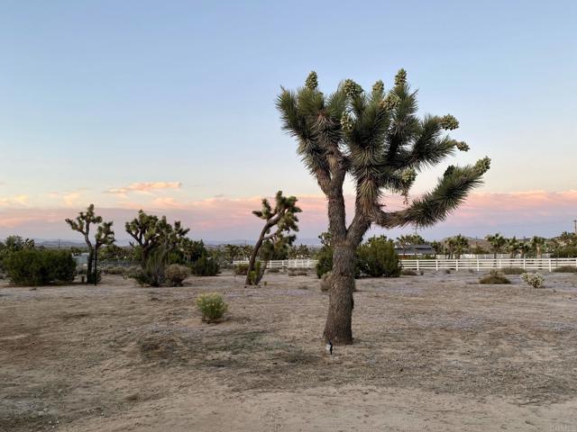 Detail Gallery Image 6 of 22 For 57222 Hillcrest Dr, Yucca Valley,  CA 92284 - 2 Beds | 1 Baths