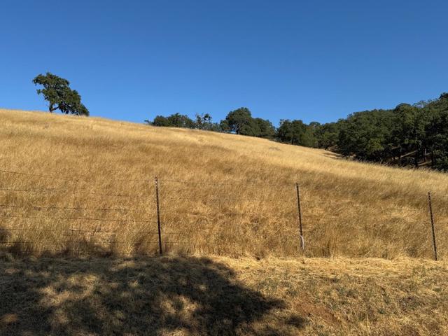 0 W San Martin Avenue, San Martin CA: https://media.crmls.org/mediaz/aa49a31e-1d39-4b45-b971-c046b9207915.jpg