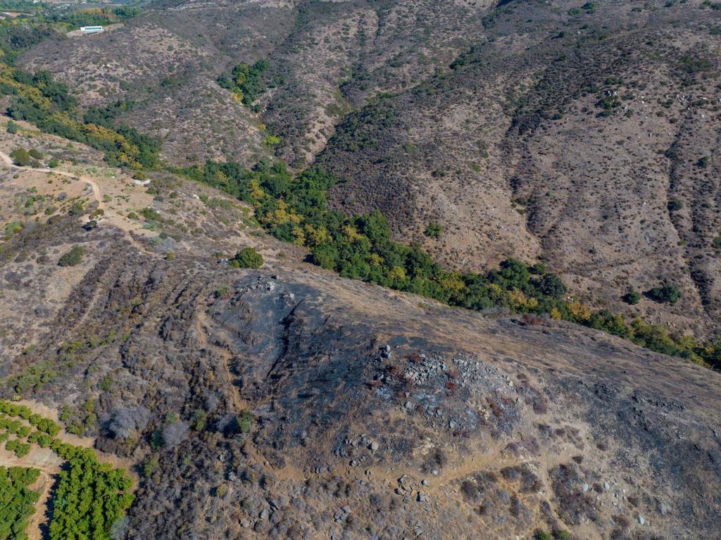 MLS #250022588SD img 5