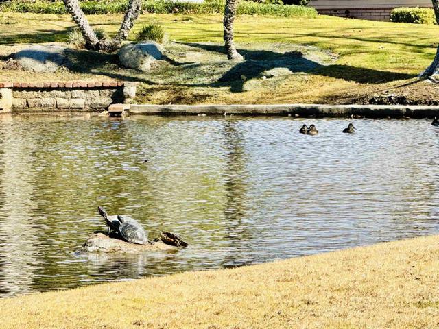 3445 Don Ortega Drive, Carlsbad CA: https://media.crmls.org/mediaz/aa535a56-2cb1-4e68-96ee-86a6371af31e.jpg