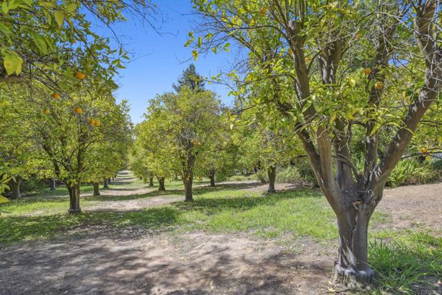 31619 21 Via Puerta Del Sol, Bonsall CA: https://media.crmls.org/mediaz/aa544a40-e8c4-4704-bbcd-0e8b11765b19.jpg