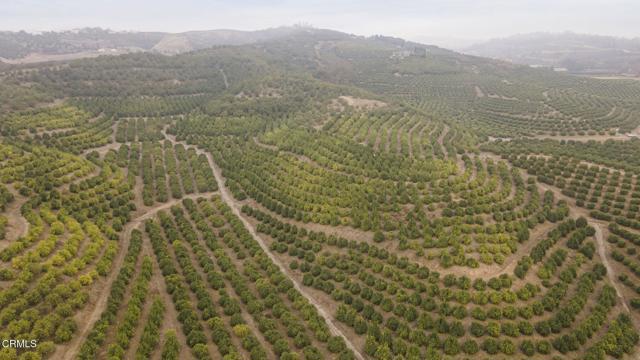 0 Donlon Road, Somis CA: https://media.crmls.org/mediaz/aa68445b-6b5a-4909-b779-76ba3ee81859.jpg