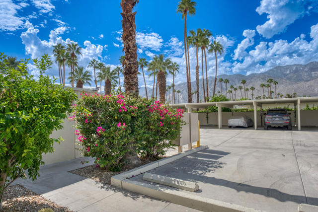 1881 S Araby Drive, Palm Springs CA: https://media.crmls.org/mediaz/aa75270b-8959-46a3-9447-efcf4afb90dd.jpg