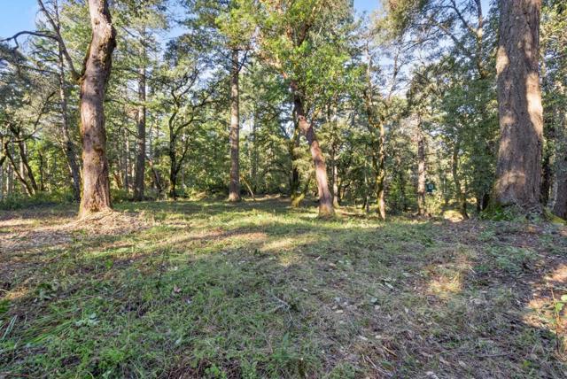 0 Allen, Woodside CA: https://media.crmls.org/mediaz/aa755243-20e6-4793-b434-011d8c873146.jpg